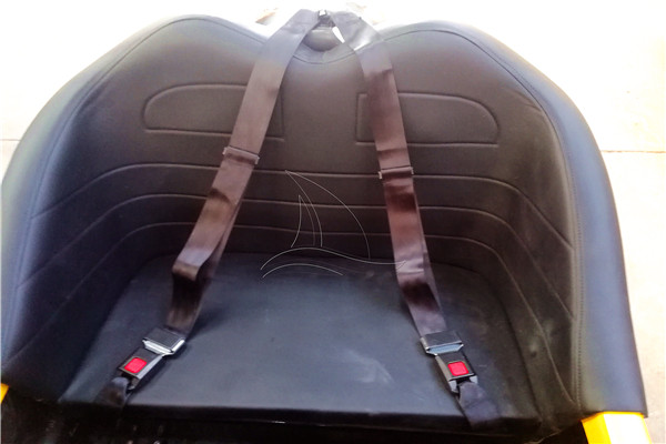 Back Seats of Battery Dodgem Car